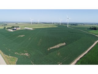 Bureau County, Illinois farmland - LAND AND WIND RIGHTS AUCTION - 337+/- ACRES IN 4 TRACTS IN BUREAU COUNTY, ILLINOIS